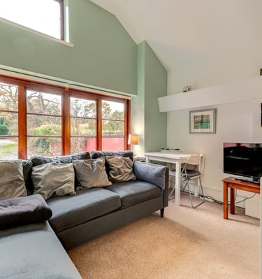 Modern living room featuring a grey sectional sofa, large windows, and a small dining area.