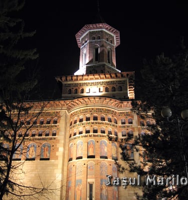 Nicolae Domnesc Iasi