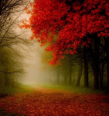 Misty landscape with red leaves