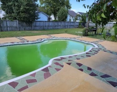 a pool with a green pool and a wooden fence