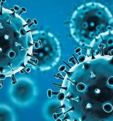 An insight on Covid-19 across the globe