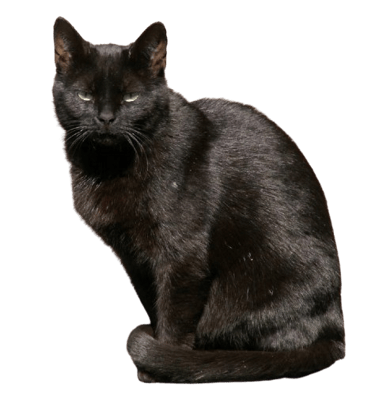 Samson sneering sarcastically.