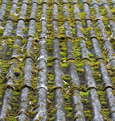 nettoyage demoussage toiture Grand Lyon