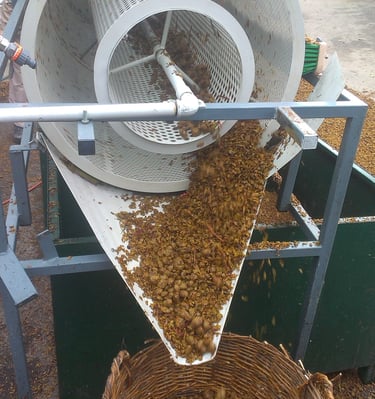 Prvo strojno prosijavanje sjemenki