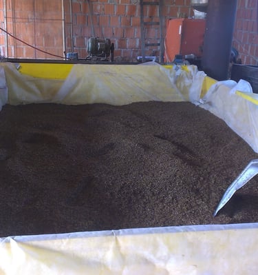 Prvo sušenje sjemenki na niskoj temperaturi u sušari za kukuruz