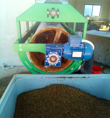 Pranje prosijanih sjemenki