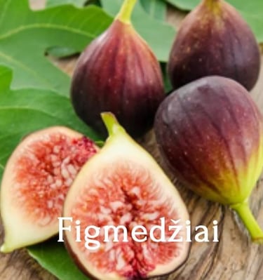 Figmedis