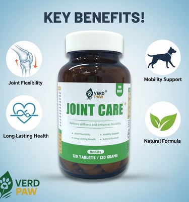 Key benefits of Joint Care for dogs including mobility support and joint flexibility.