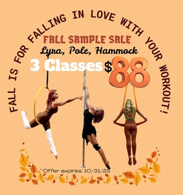 Pole Dance, Lyra, Hammock Aerial Dance class