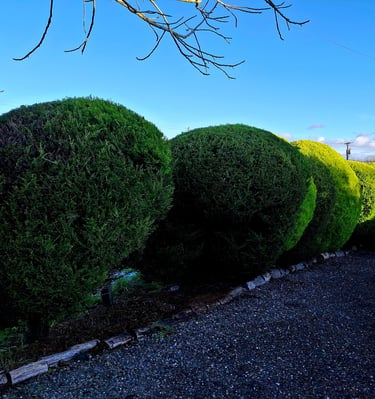 Hedge Trimming Longdon Tewkesbury