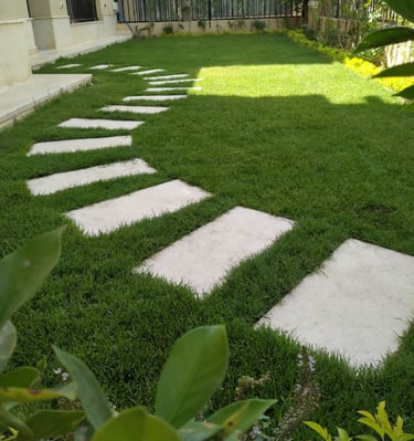 newgreentouch Landscaping outdoor pathway and lawn