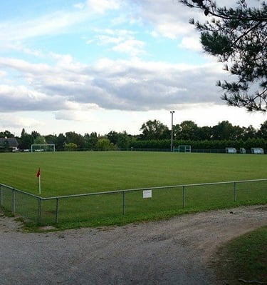 Terrain en herbe