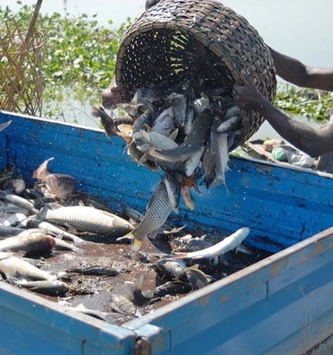 a man is holding a basket with fresh fish