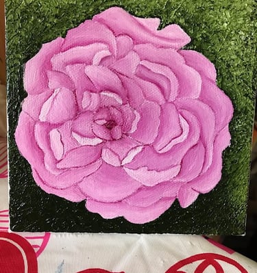 Large Pink Carnation