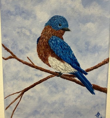 Bluebird on a Branch