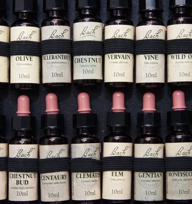 florais de bach, emoções, medo, indecisão, ansiedade, raiva, tristeza