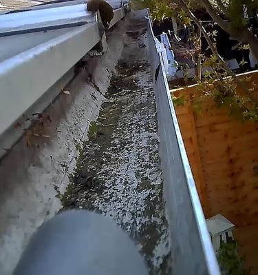 conservatory guttering inspection