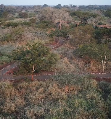 Self catering safari tent accommodation sites at Albizia tented camp