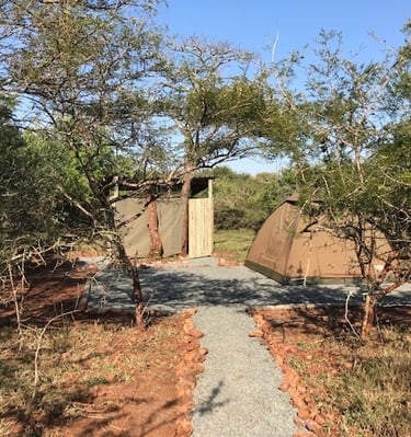 Glamping dome tent accommodation with private bathroom at Albizia camp in Hluhluwe