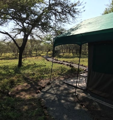 Owner run and intimate accommodation at Albizia self catering tented camp in Hluhluwe
