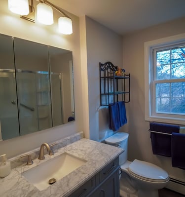 a bathroom with a toilet and a sink