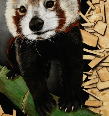 Oeuvre Naoki, représentant un panda roux dans un décor végétal, peinture réalisée sur bois OSB.