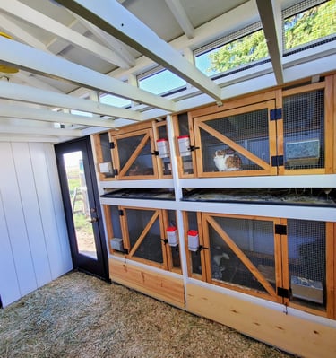 Inside custom rabbit barn.  Four enclosures with hidden spots for dropping collection trays. Ranch Colorado Springs.