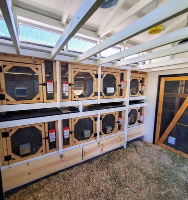 Inside custom rabbit barn.  8 enclosures with hidden spots for dropping collection trays. Ranch Colorado Springs.