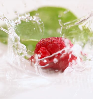 fort lauderdale food photographers 