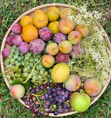 organic mandarins, plums, lemon, apple, red grapes and green grapes and elderflower