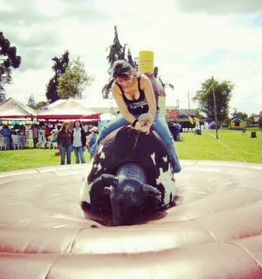 Bull for hire in Greenville