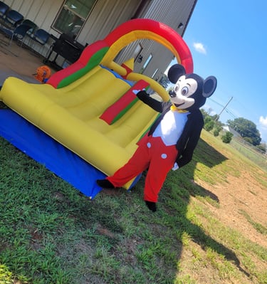 ALQUILER Y RENTA DE INFLABLES -INFLATABLES -SALTARINES PARA FIESTAS DE CUMPLEAÑOS EN GREENVILLE