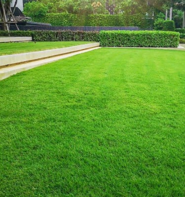 Entretien de jardins DG Services à Neuchâtel - tonte, taille et aménagement paysager durable