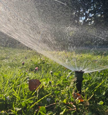 a sprinkler sprinkler sprinkler sprinkle