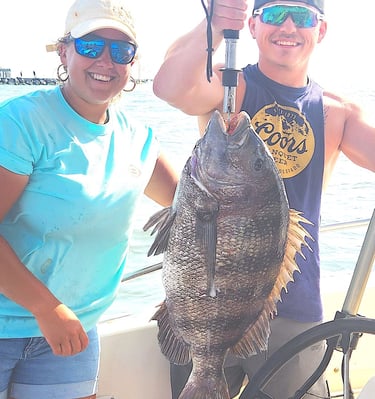 Trophy Sheepshead