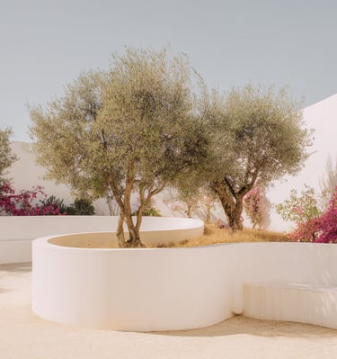 a planter with a tree in the middle of a circular white wall