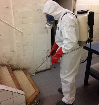 Technicien Safezzy procédant à une désinfection cafards en sous-sol à Delle (Territoire de Belfort)