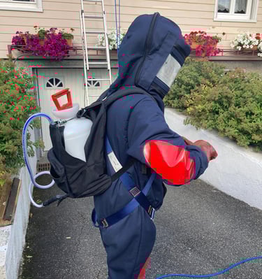 Technicien Safezzy en combinaison intégrale réalisant une désinsectisation frelons à Saint-Louis