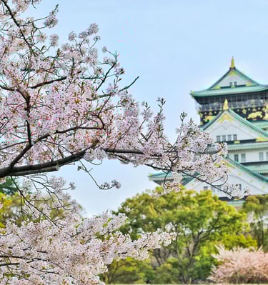 Osaka Castle