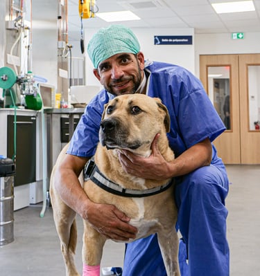 Le Dr Cyrill Poncet qui fait une photo avec un chien avant son opération