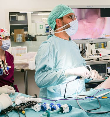 Le Dr Poncet réalise une opération chirurgicale sur un chien