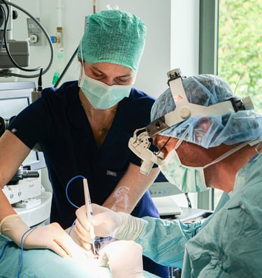 Les vétérinaires Marduel et Payen réalisent une opération ophtalmologique sur un chien