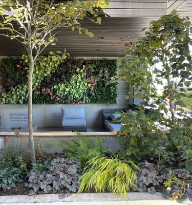 Andy Albright's living wall design
