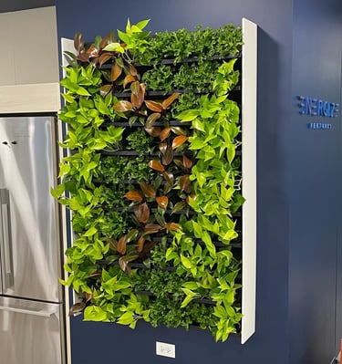 A small living wall designed by Andy Albright