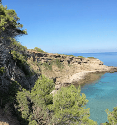 a person standing on a cliff overlooking a body of water