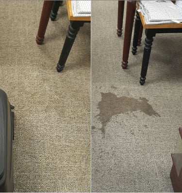 carpet stain before and after