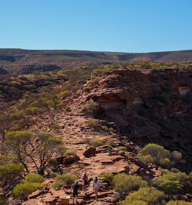 Toeristen wandelen door een kloof in Karlbarri National Park tijdens hun 4WD roadtrip