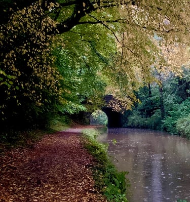 The beautiful autumn colours and nature of the Monmouthshire and Brecon canal in the Brecon Beacons, South Wales.