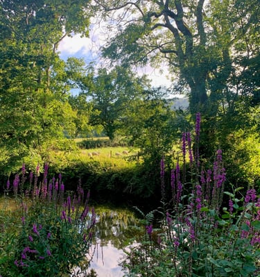 Spring flowers and views across the Monmouthshire and Brecon canal to the Brecon Beacons, South Wales