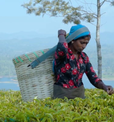 a woman in a hat and a basket basket with a basket on top of it